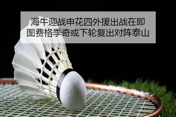 海牛迎战申花四外援出战在即 图费格季奇或下轮复出对阵泰山